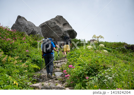 夏の白山の砂防新道 141924204