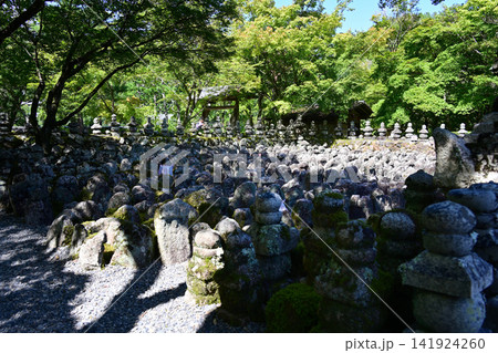 化野念仏寺 石仏 風景 化野念仏寺 石仏 風景 141924260