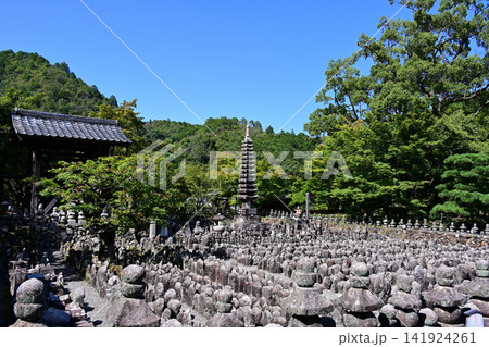 化野念仏寺 石仏 化野念仏寺 石仏 141924261