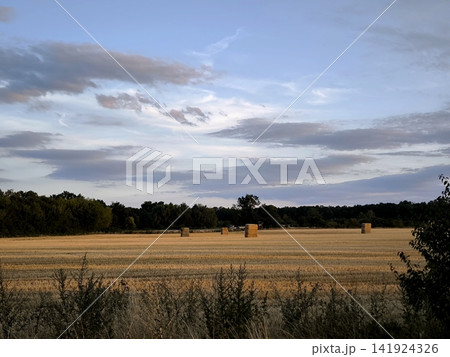 A view of an autumn wheat field with haystacks at sunset. A view of an autumn wheat field with haystacks at sunset. 141924326
