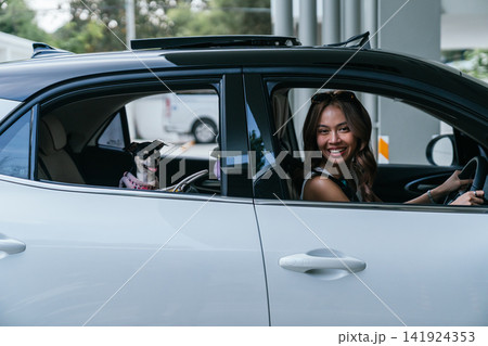 Happy woman driving car with small dog 141924353