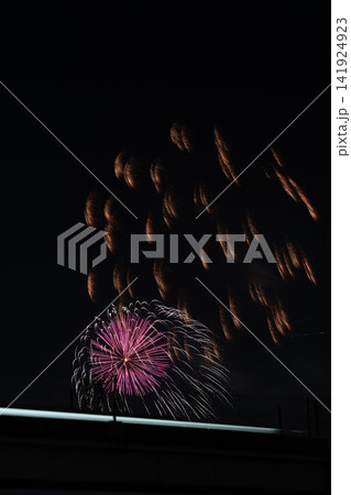 夜空に咲く幻想的な花火 夜空に咲く幻想的な花火 141924923