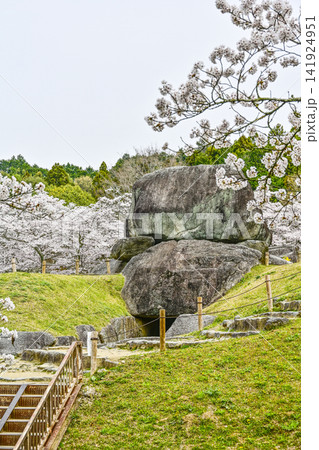 石舞台古墳と桜(国営飛鳥歴史公園石舞台地区) 石舞台古墳と桜(国営飛鳥歴史公園石舞台地区) 141924951