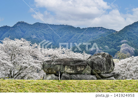 石舞台古墳と桜（国営飛鳥歴史公園石舞台地区） 141924958