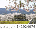 石舞台古墳と桜（国営飛鳥歴史公園石舞台地区） 141924976