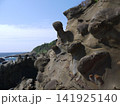 鵜戸神宮の奇岩 141925140