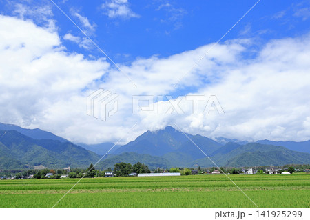夏の安曇野 夏の安曇野 141925299