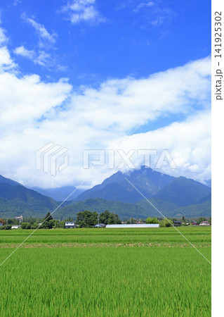夏の安曇野 141925302