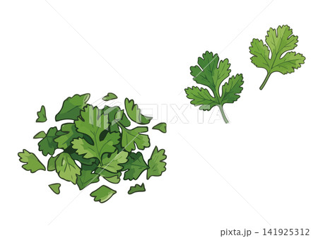 シズル感のあるパイクチーのイラスト シズル感のあるパイクチーのイラスト 141925312