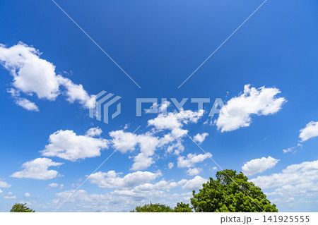 夏の青空と雲と樹木 夏の青空と雲と樹木 141925555
