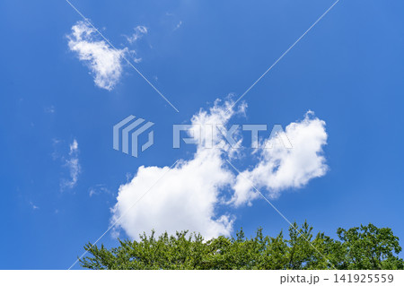 夏の青空と雲と樹木 夏の青空と雲と樹木 141925559