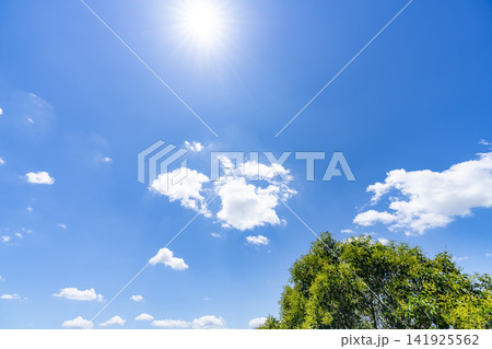 夏の青空と雲と樹木 夏の青空と雲と樹木 141925562