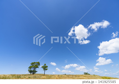 夏の青空と雲と草原 夏の青空と雲と草原 141925585