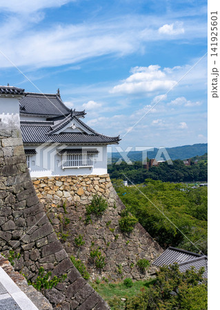 岡山県津山市の津山城（鶴山公園）に復元された備中櫓と美しい石垣 141925601