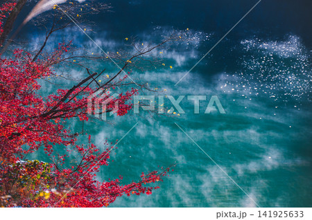 【久米路峡】川霧と紅葉【長野市信州新町】 【久米路峡】川霧と紅葉【長野市信州新町】 141925633