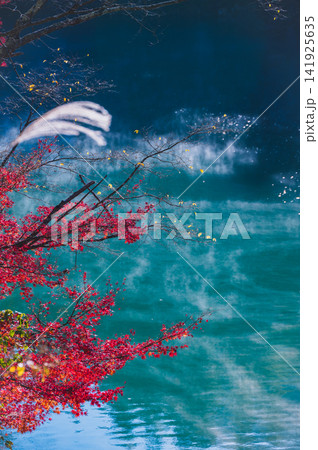 【久米路峡】川霧と紅葉【長野市信州新町】 【久米路峡】川霧と紅葉【長野市信州新町】 141925635