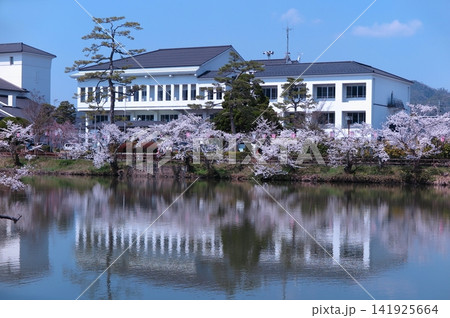 篠山城址のお濠ごしに眺めた丹波篠山市役所(第2庁舎) 篠山城址のお濠ごしに眺めた丹波篠山市役所(第2庁舎) 141925664