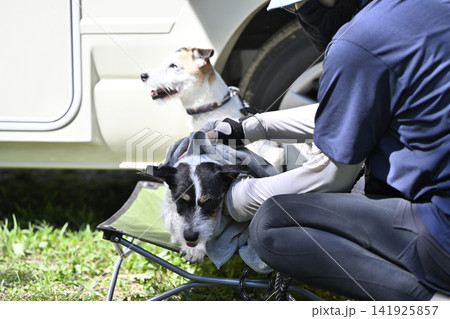 愛犬と川遊び 体を拭く女性 キャンプ アウトドア ジャックラッセルテリア キャンピングカー 愛犬と川遊び 体を拭く女性 キャンプ アウトドア ジャックラッセルテリア キャンピングカー 141925857