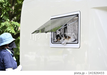 愛犬とキャンプを楽しむ女性 キャンピングカー ジャックラッセルテリア 愛犬とキャンプを楽しむ女性 キャンピングカー ジャックラッセルテリア 141926433