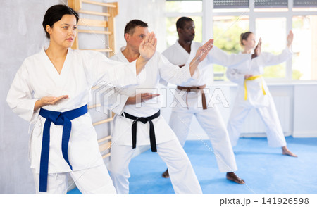 Group of multiethnic people training karate techniques 141926598