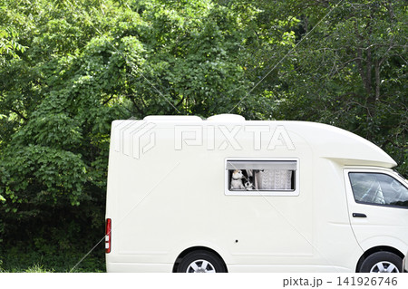 愛犬とキャンピングカーでドライブ キャンプ ジャックラッセルテリア 愛犬とキャンピングカーでドライブ キャンプ ジャックラッセルテリア 141926746