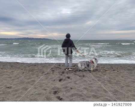 海辺で犬と散歩する男性 海辺で犬と散歩する男性 141927009