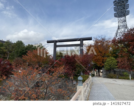 長野県松本市 四柱神社の鳥居と鮮やかな秋の紅葉風景 141927472
