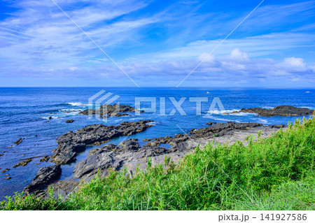 夏の晴天の朝 三浦半島の城ヶ島から南方面に望む眼下の磯場と雄大な青い海の風景 夏の晴天の朝 三浦半島の城ヶ島から南方面に望む眼下の磯場と雄大な青い海の風景 141927586