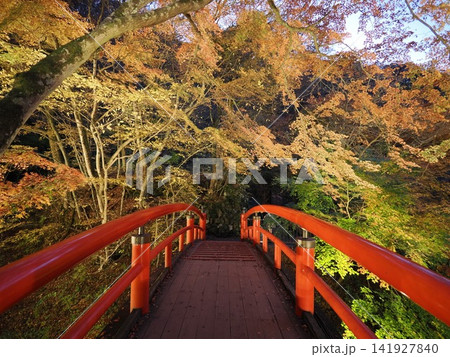 群馬県　伊香保の河鹿橋 141927840