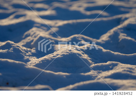 冬の光がきらめくイルクーツクの雪の起伏 冬の光がきらめくイルクーツクの雪の起伏 141928452
