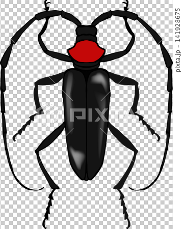 A realistic and simple illustration of the red-necked longhorn beetle. A realistic and simple illustration of the red-necked longhorn beetle. 141928675