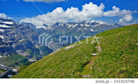 グリンデルワルトの風景 グリンデルワルトの風景 141928746