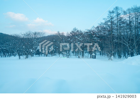 岩手の雪山 141929003