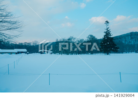 岩手の雪山 141929004