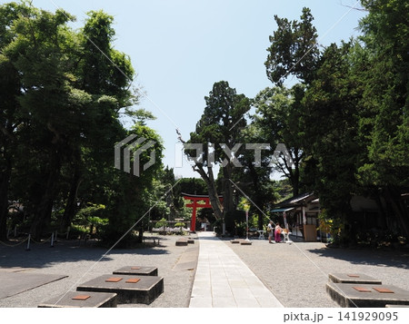 静岡県 下田 白濱神社 静岡県 下田 白濱神社 141929095