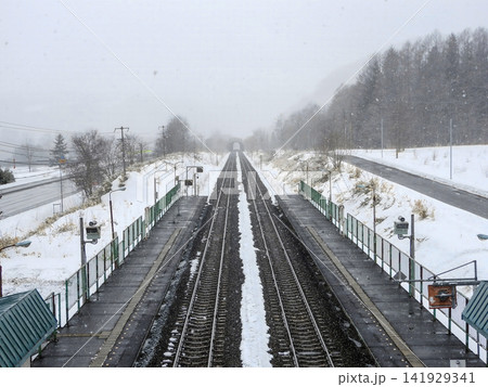 雪の積もる無人駅のホームと直線的に伸びる線路の風景 141929341