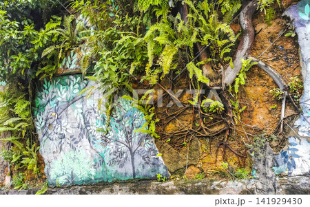 Rio de Janeiro Brazil City Street Art Graffiti and Paintings. Rio de Janeiro Brazil City Street Art Graffiti and Paintings. 141929430