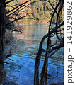 Vertical View Of Clear Blue Lake Through Tree Branches In Jiuzhaigou National Park 141929862
