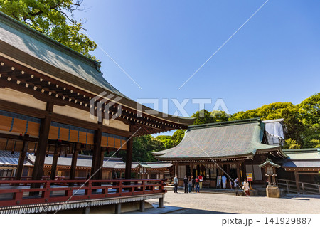 氷川神社 氷川神社 141929887