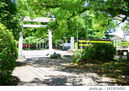 九華公園内の鎮国守国神社の鳥居 141929892