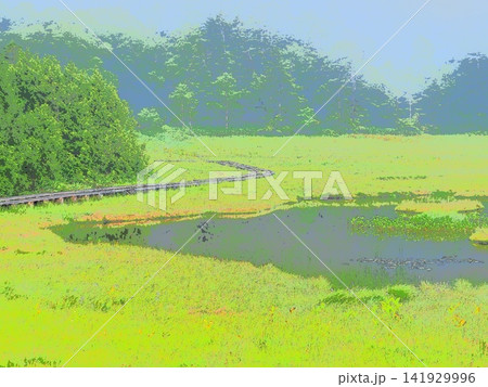 朝の静寂に包まれる高層湿原(afr20260722053609) 朝の静寂に包まれる高層湿原(afr20260722053609) 141929996