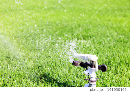 晴れた日の青々とした芝生とスプリンクラーの水まき 晴れた日の青々とした芝生とスプリンクラーの水まき 141930163