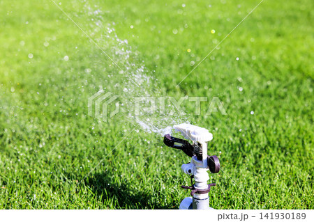 晴れた日の青々とした芝生とスプリンクラーの水まき 晴れた日の青々とした芝生とスプリンクラーの水まき 141930189