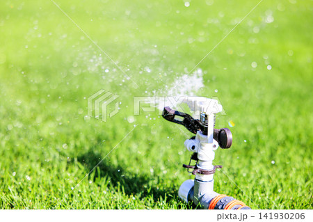 晴れた日の青々とした芝生とスプリンクラーの水まき 晴れた日の青々とした芝生とスプリンクラーの水まき 141930206