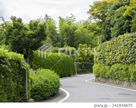 京都嵯峨野 新緑に囲まれた通りの風景 京都嵯峨野 新緑に囲まれた通りの風景 141930675