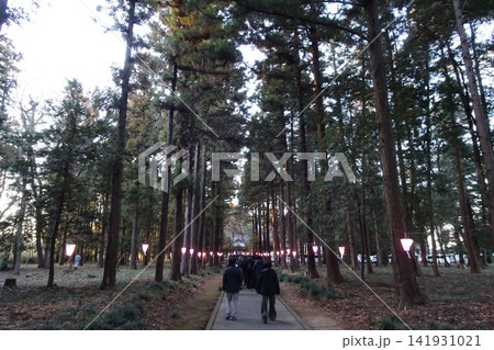 埼玉県:高徳神社/初詣の参拝客が並ぶ元旦の朝/埼玉県鶴ヶ島市 埼玉県:高徳神社/初詣の参拝客が並ぶ元旦の朝/埼玉県鶴ヶ島市 141931021