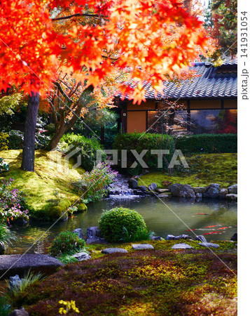 庭園の池と紅葉 庭園の池と紅葉 141931054