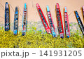 Aerial view of colorful wooden traditional longtail boats moored near the muddy riverbank with green yellowish grass vegetation 141931205