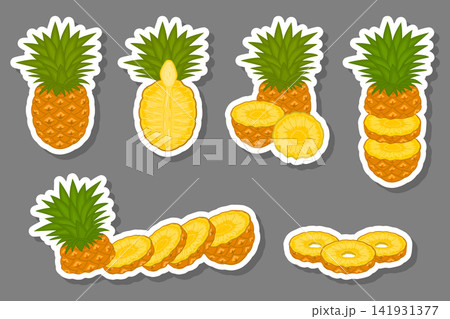 Illustration on theme big set different types yellow tropical pineapple 141931377