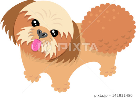 こちらを見上げるシーズー犬のイラスト こちらを見上げるシーズー犬のイラスト 141931480
